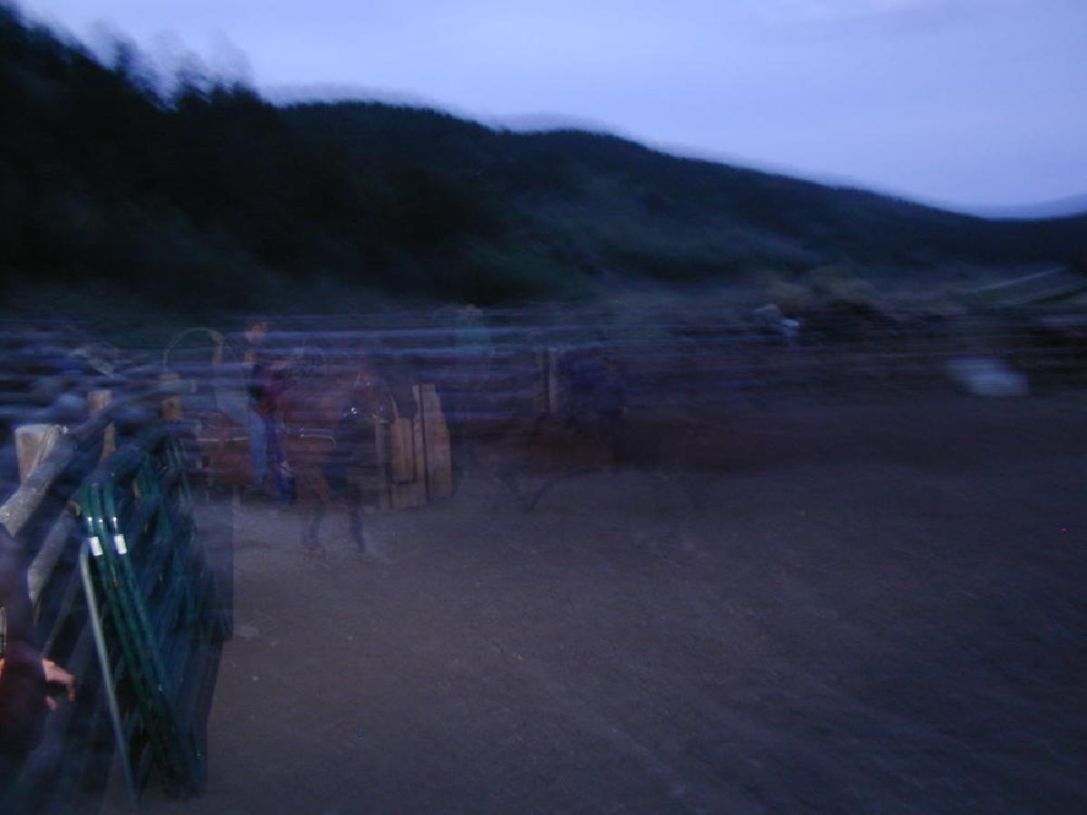 Roping at the ranch