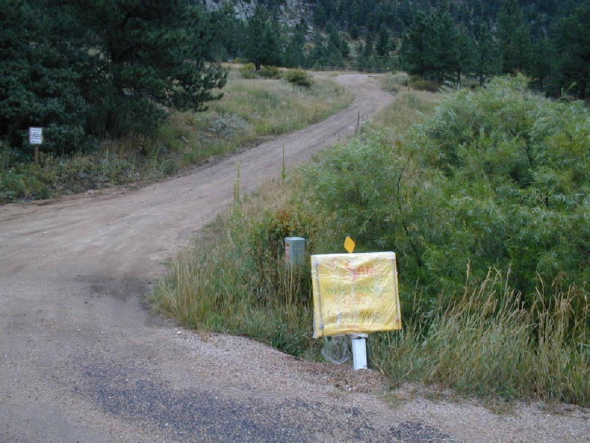 Aunt Wendys driveway