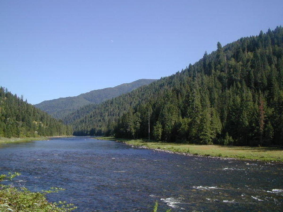 Locsha River