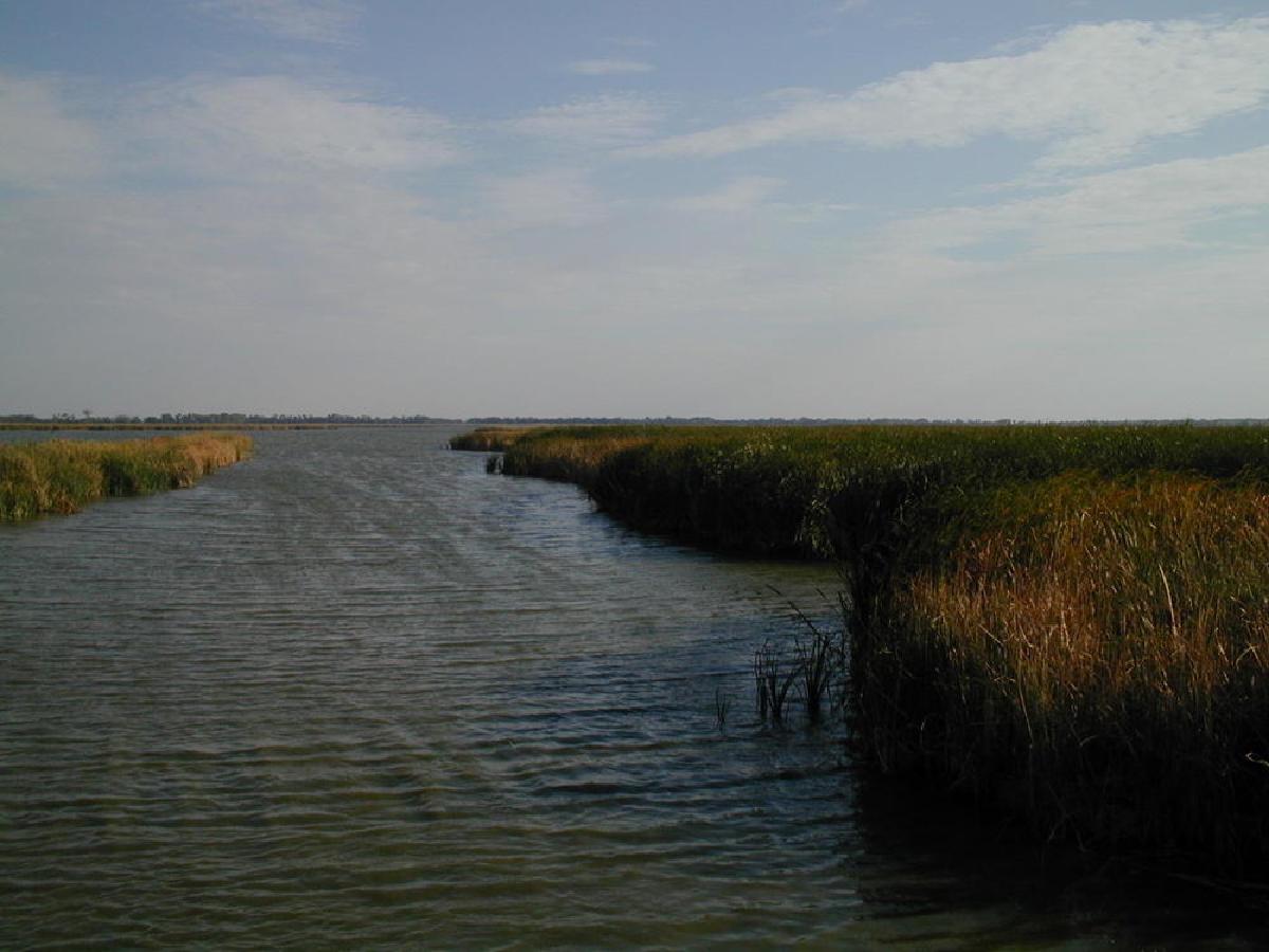Quivira Park