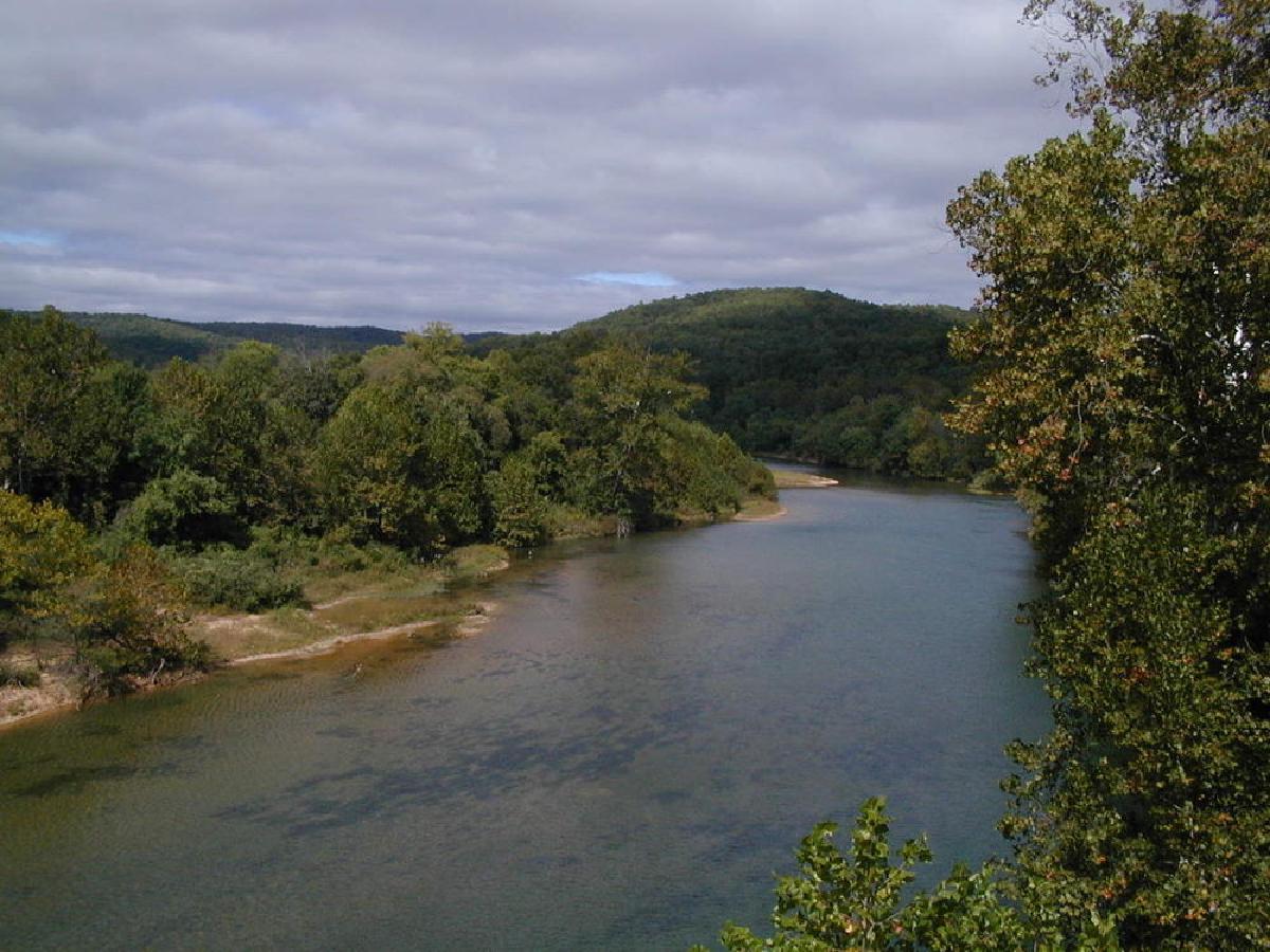 Owl Bend