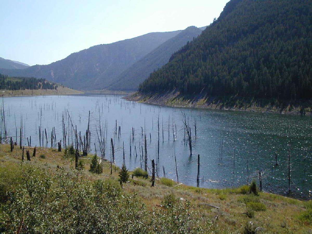 Earthquake Lake