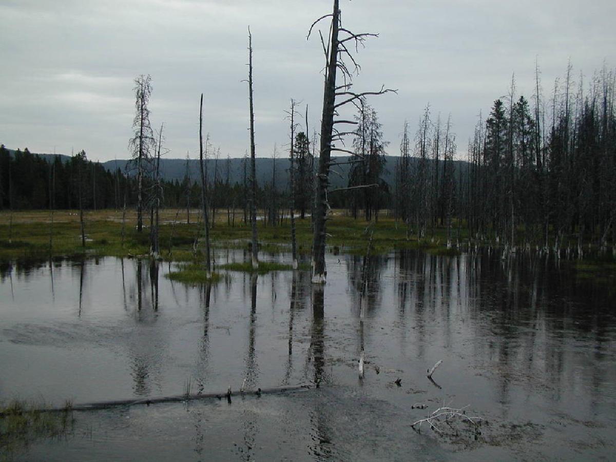 Firehole River