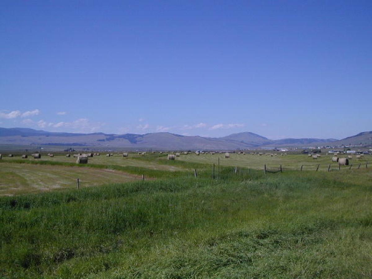 Western Montana