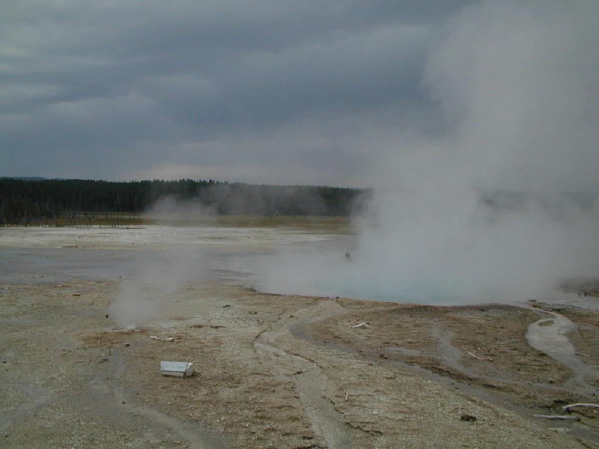Steam