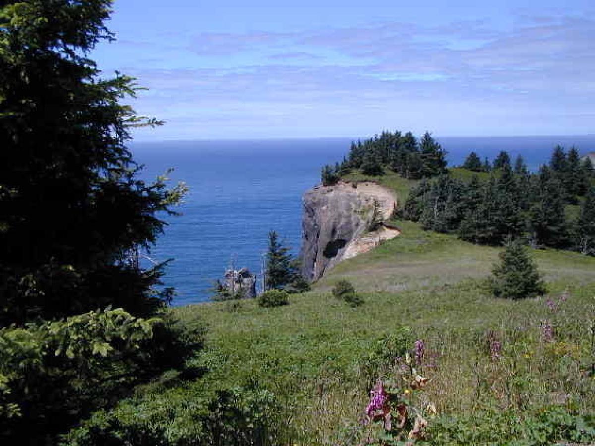 First hill