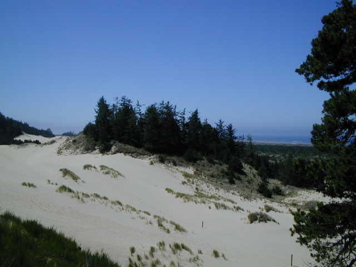 Sand Dunes