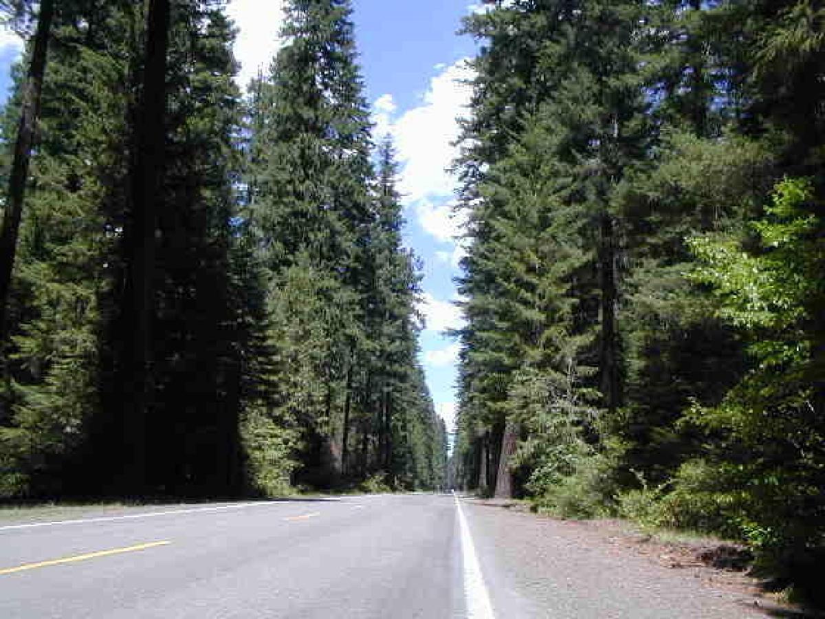 Outside Prospect