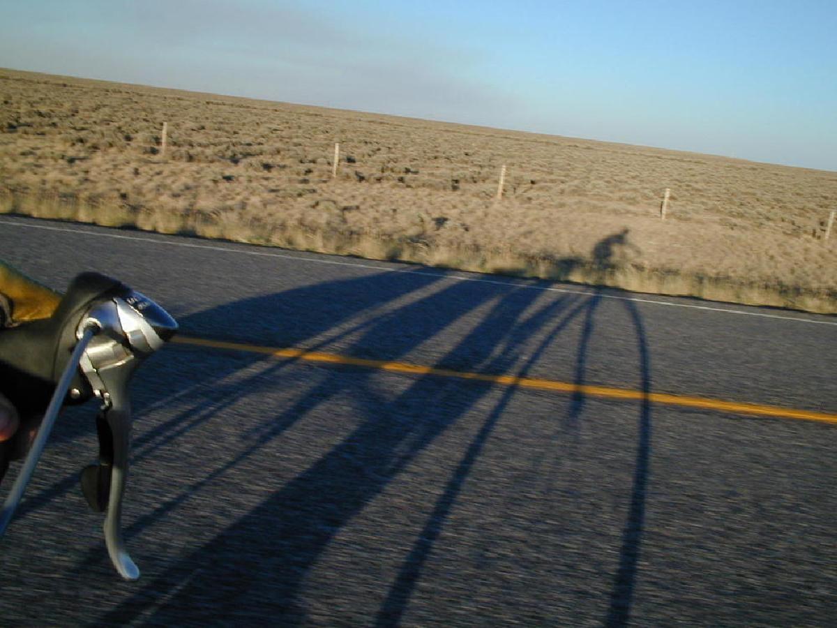 Shadows