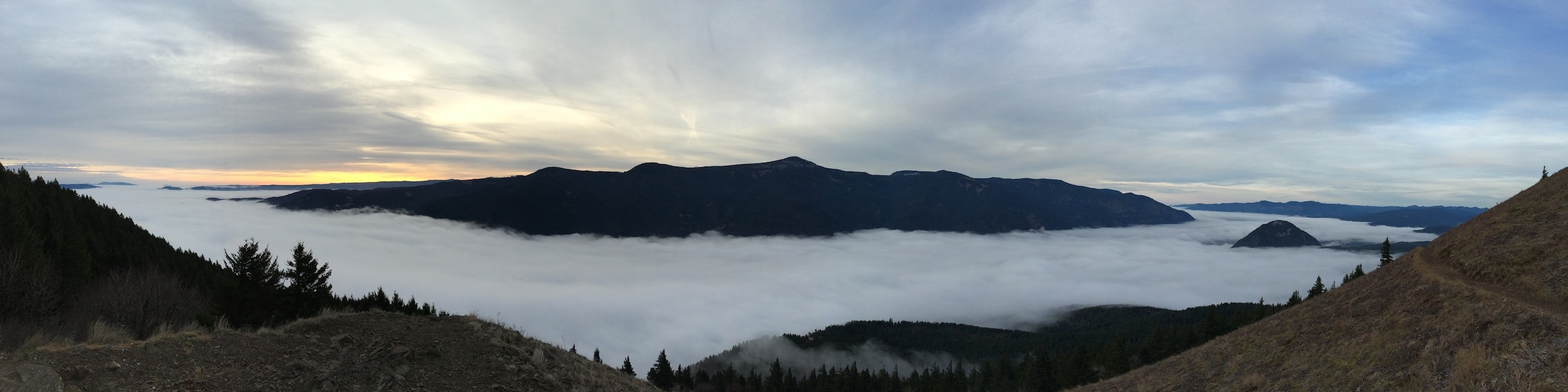 Dog Mountain Fog