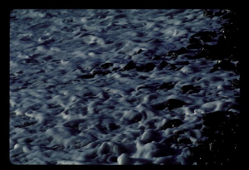 gallery/beach1.jpg