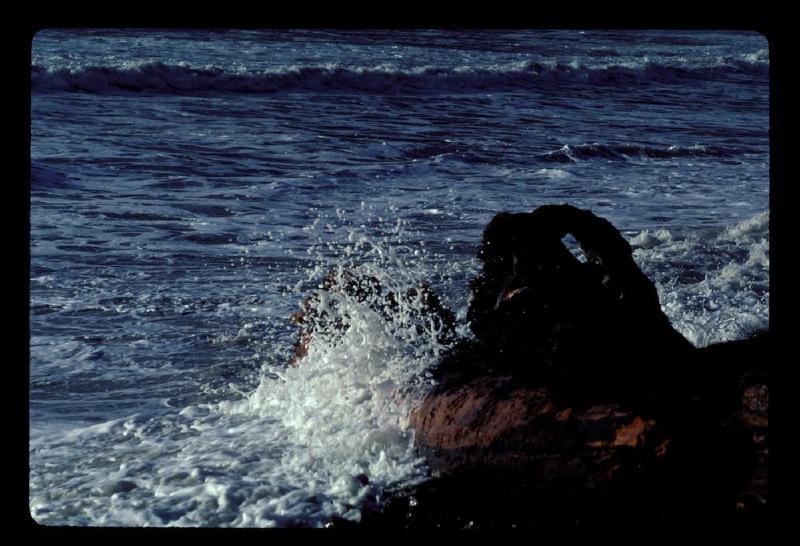 gallery/beach5.jpg