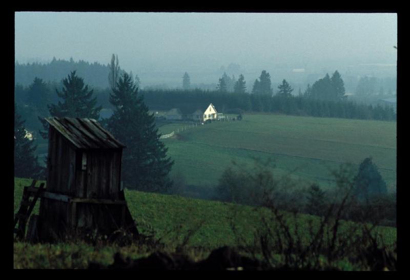 gallery/w_county_01.jpg