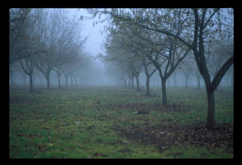 gallery/w_county_05.jpg