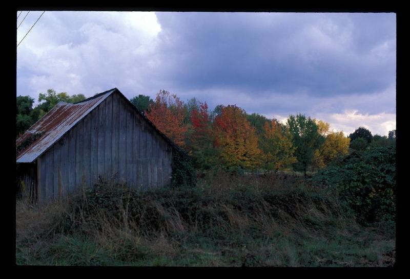 gallery/w_county_07.jpg