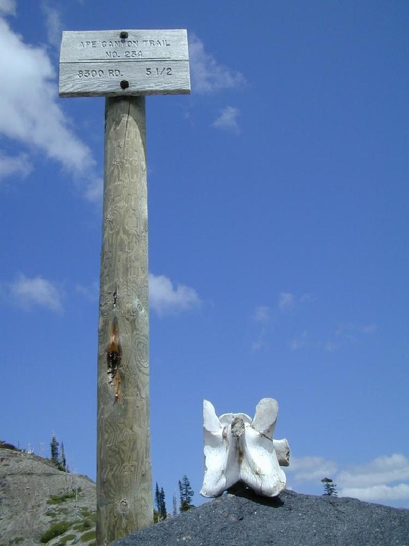 gallery/st_helens_14.jpg