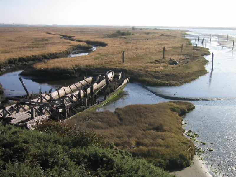 gallery/boat_skeleton_bandon.jpg