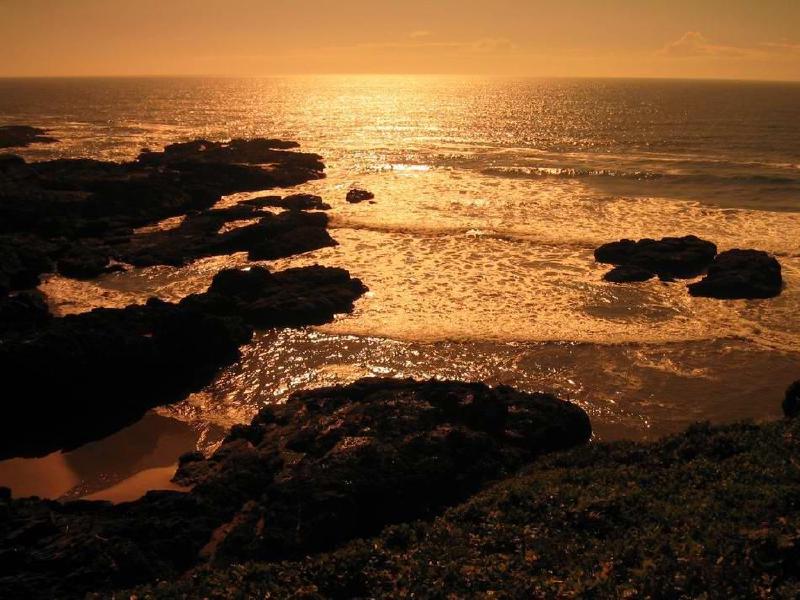 gallery/cape_perpetua1.jpg