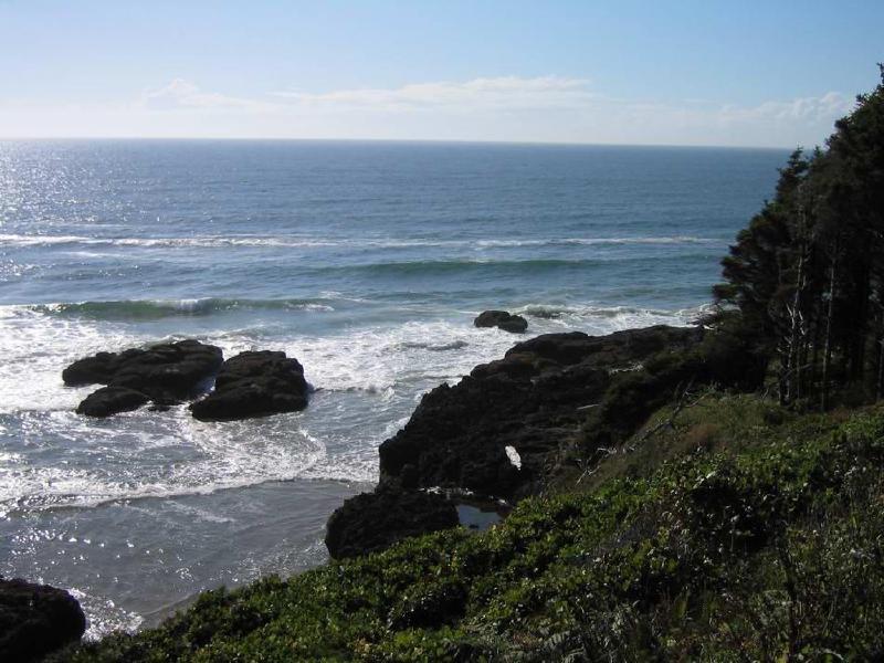 gallery/cape_perpetua5.jpg
