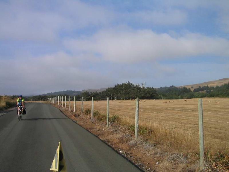 gallery/near_gold_beach.jpg