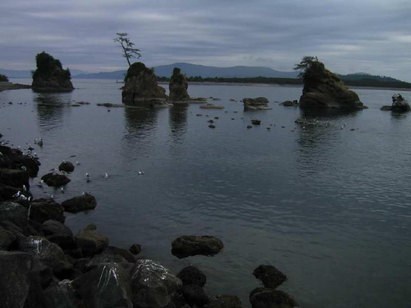 gallery/tillamook_bay1.jpg