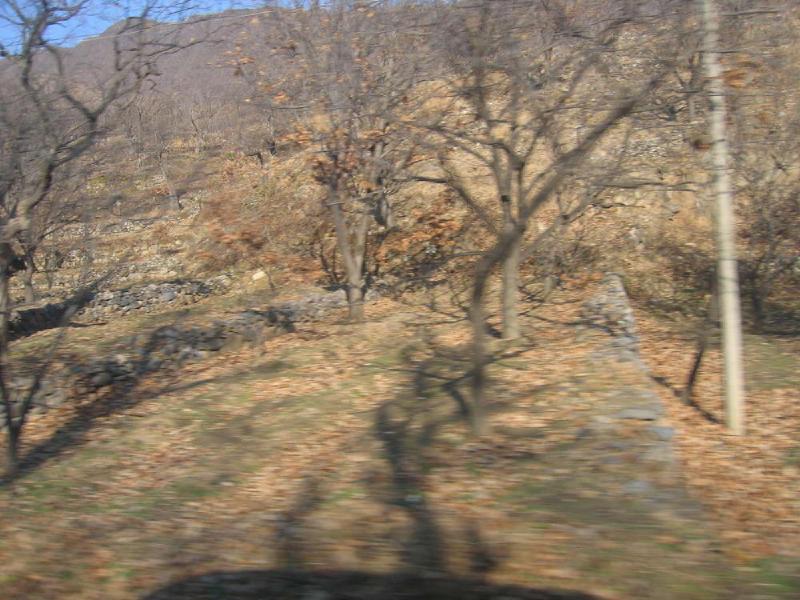 gallery/huanghua_5.jpg