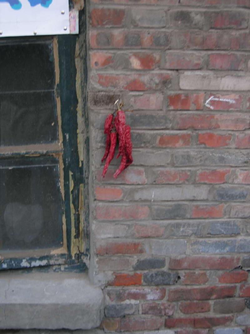 gallery/hutong_11.jpg