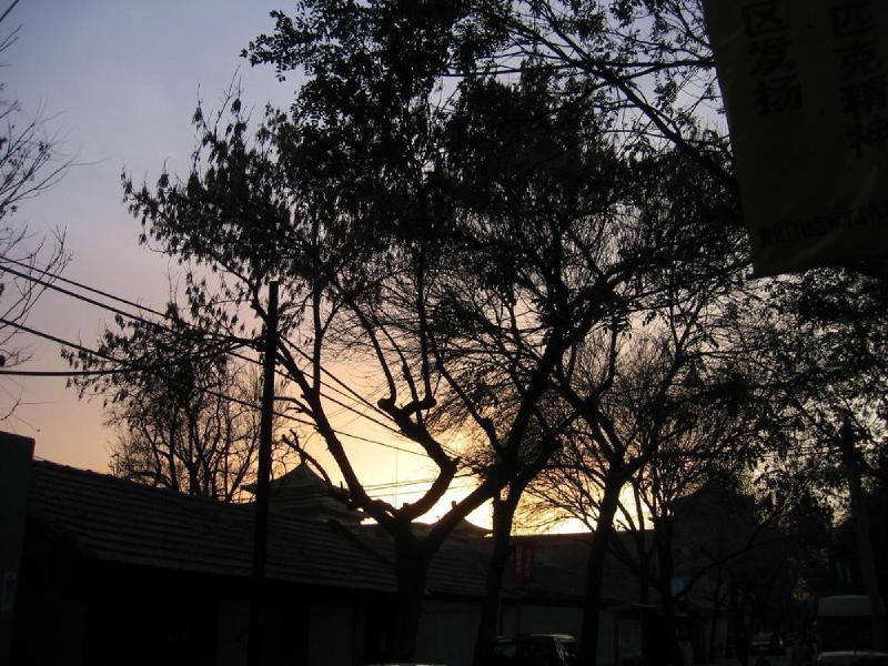 gallery/hutong_9.jpg