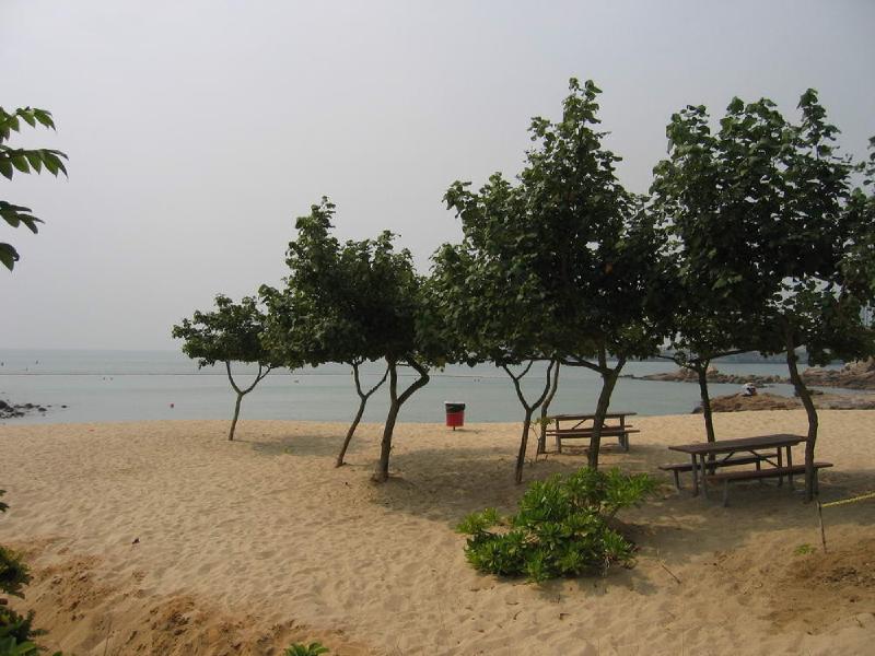 gallery/lamma_15.jpg