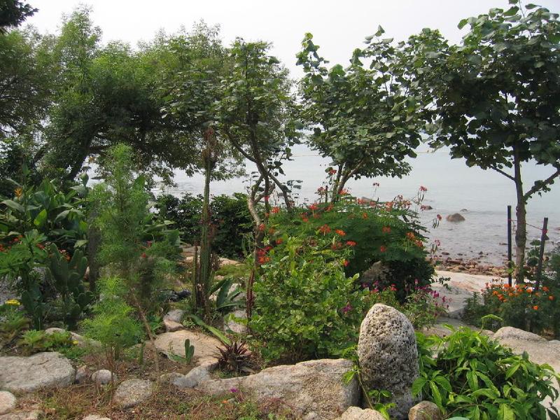 gallery/lamma_16.jpg