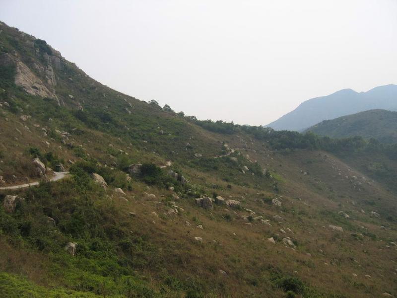 gallery/lamma_21.jpg