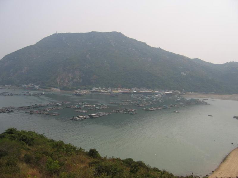 gallery/lamma_24.jpg