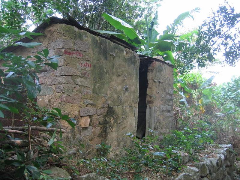 gallery/lamma_26.jpg