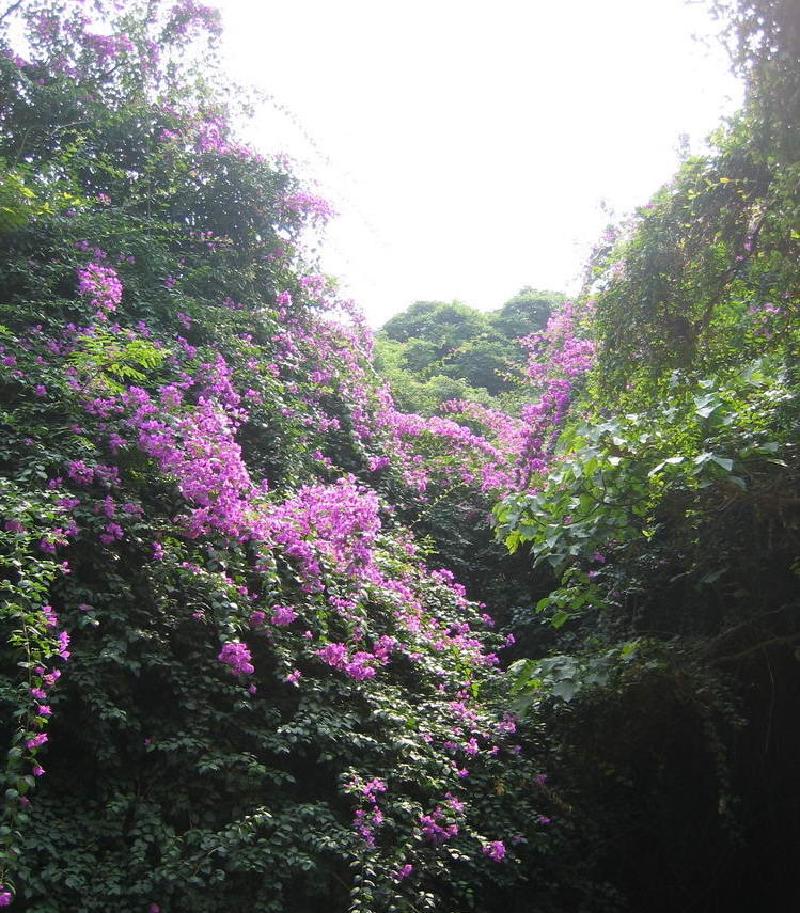 gallery/lamma_29.jpg