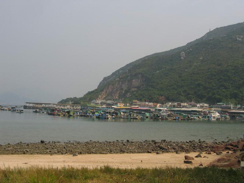 gallery/lamma_30.jpg