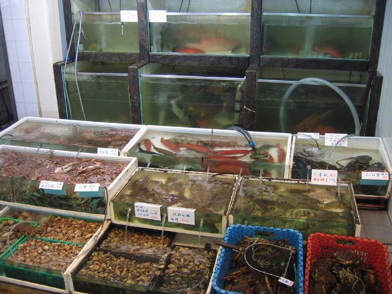 gallery/lamma_32.jpg