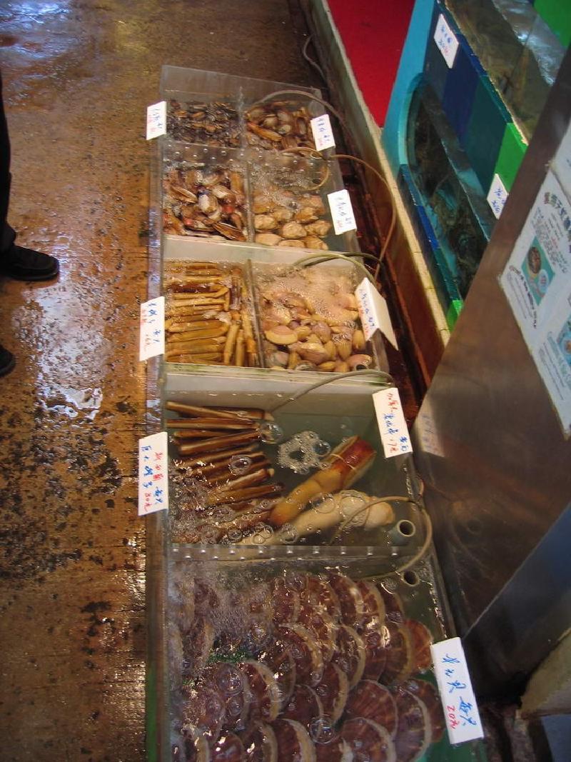 gallery/lamma_33.jpg