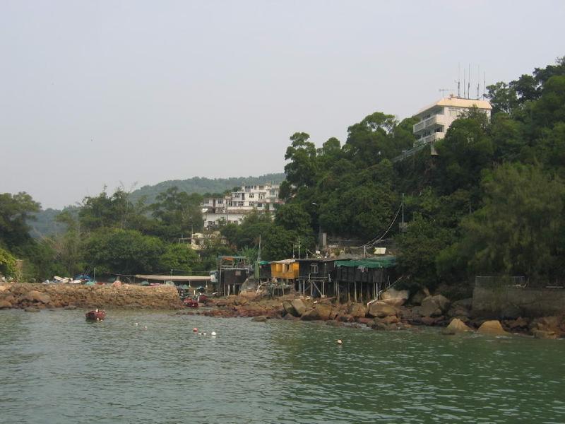 gallery/lamma_3.jpg