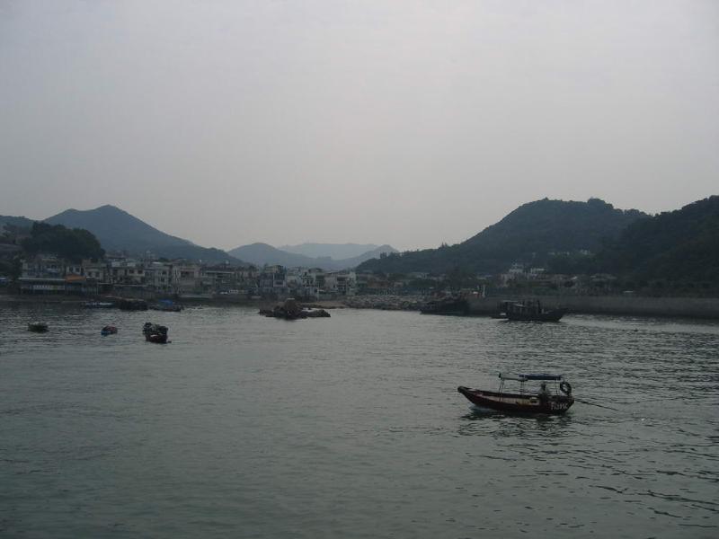 gallery/lamma_4.jpg