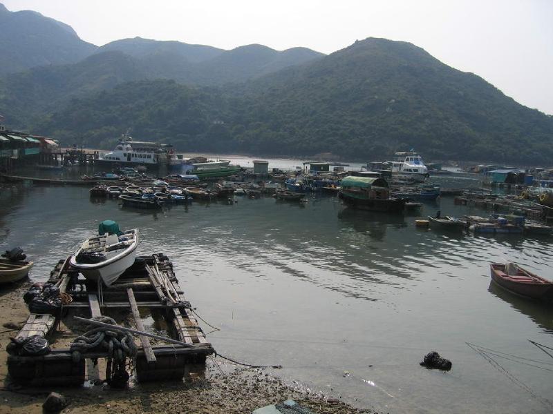 gallery/lamma_50.jpg