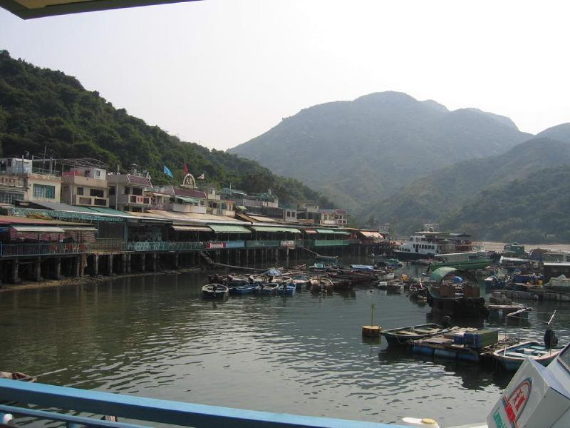 gallery/lamma_52.jpg