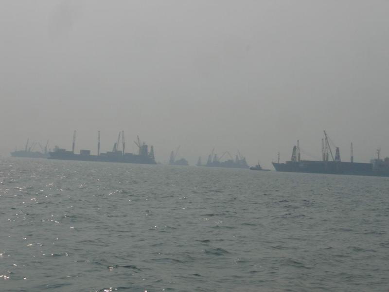 gallery/lamma_54.jpg