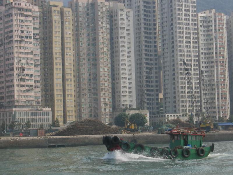 gallery/lamma_55.jpg