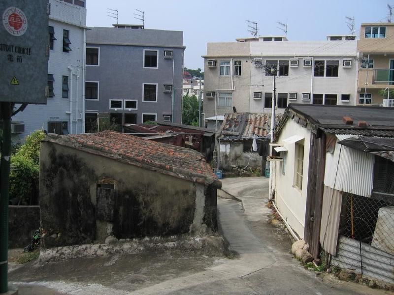 gallery/lamma_9.jpg