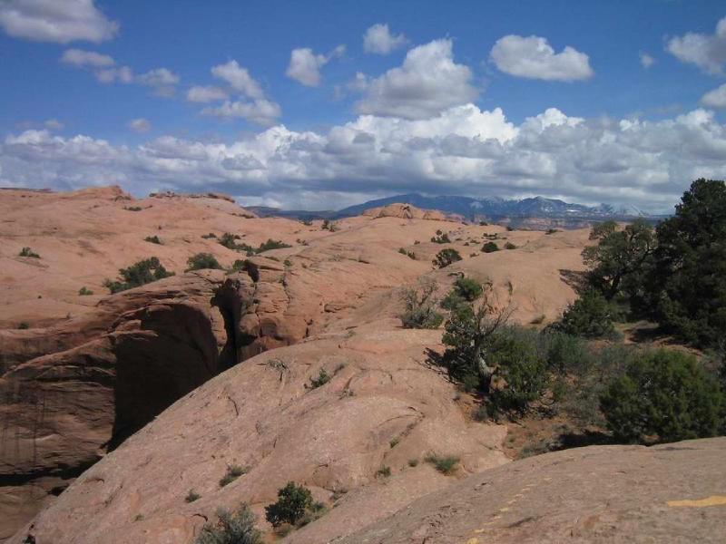 gallery/slickrock_8.jpg