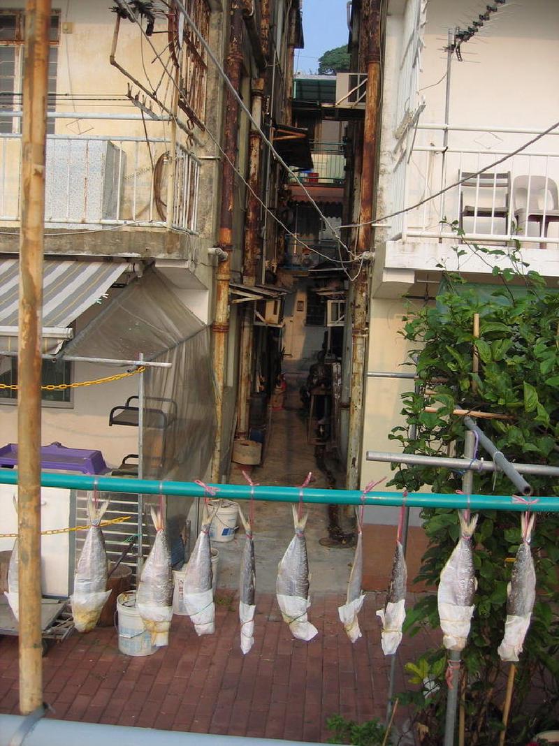 gallery/peng_chau_44.jpg