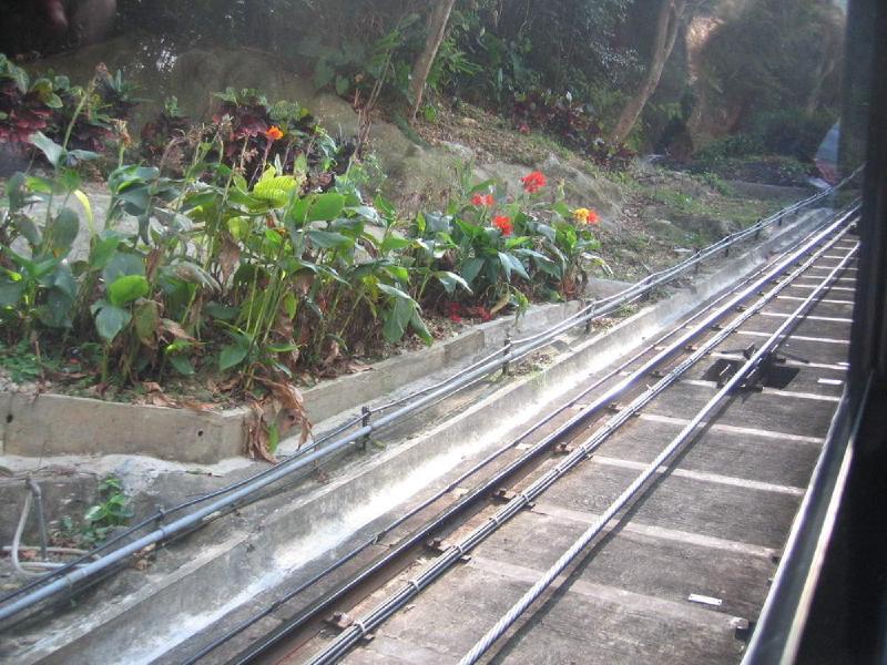gallery/victoria_peak_6.jpg