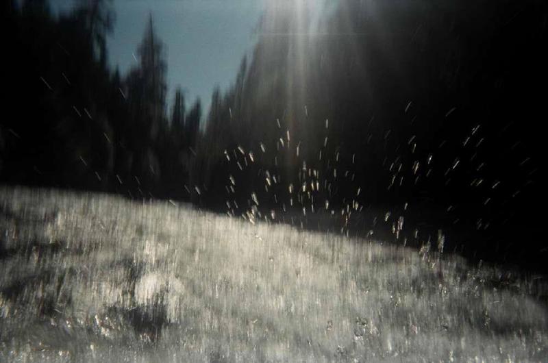 gallery/mckenzie_raft_16.jpg