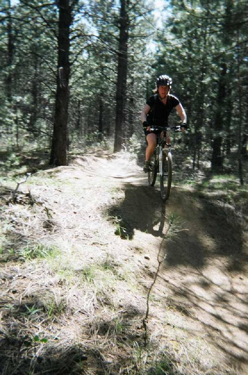 gallery/phils_trail_4.jpg