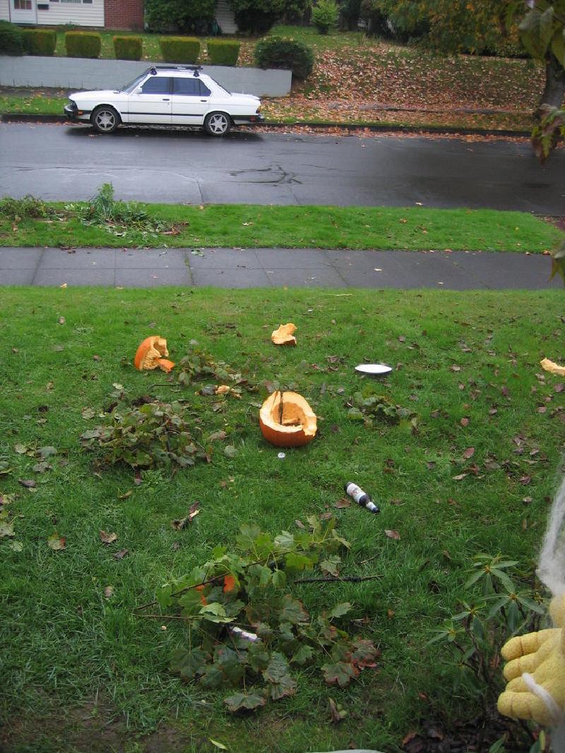 gallery/halloween_57.jpg